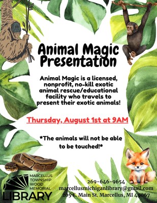 Animal Magic Presentation Animal Magic Presentation