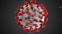 CDC Updated Information about Coronavirus Covid-19