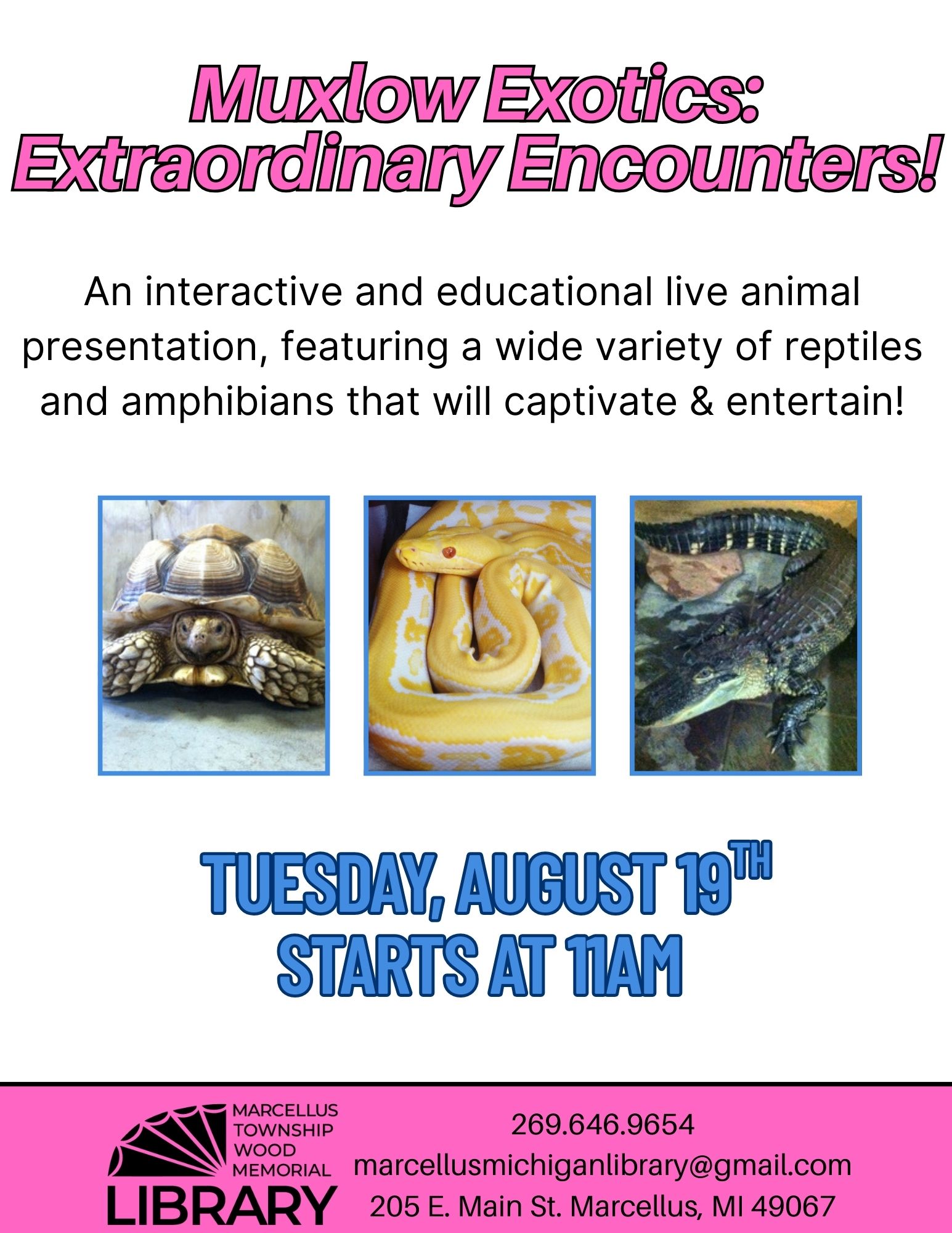 muxlow exotics.jpg