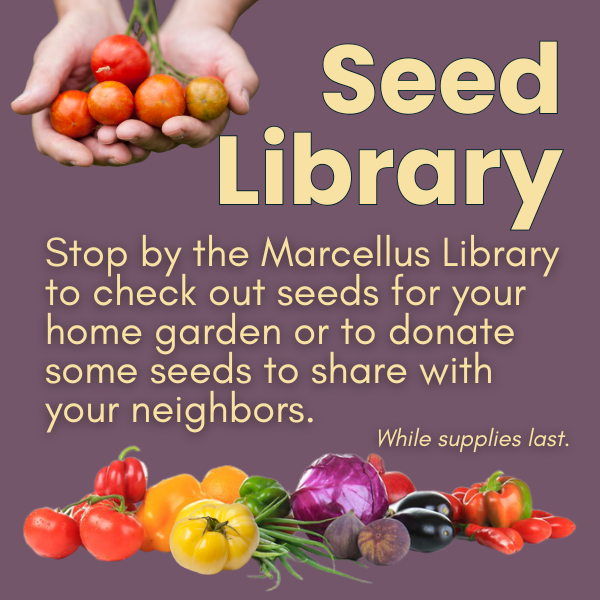 Seed Library