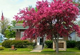 Marcellus Township Wood Memorial Library Logo